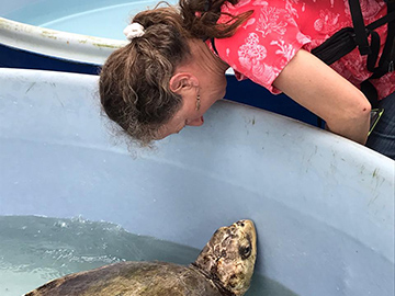 Erika Nowak with sea turtle