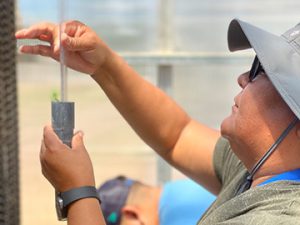 Davina greenhouse measuring_web